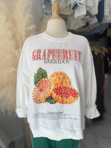 Fruit Cocktail Sweater